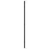 Wall Mirror Black 15.7"x31.5" Rectangle Iron - Black